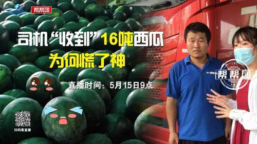 今日大瓜第九集创意短片