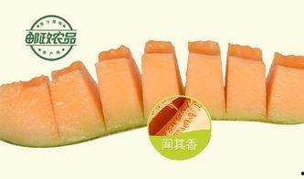 西州蜜25号哈密瓜今日报价,价格行情一览