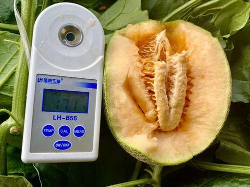 今日吃瓜大全完整版,盘点娱乐圈最新热点事件