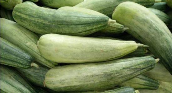 羊角蜜瓜今日价格,市场行情一览”