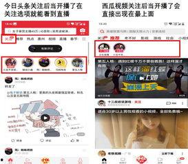 今日头条吃瓜直播,揭秘娱乐圈幕后故事