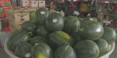 今日吃瓜网站热门大瓜,吃瓜群众热议的惊天大瓜揭秘！