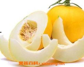 伊丽莎白瓜今日价格,今日伊丽莎白瓜价格行情一览