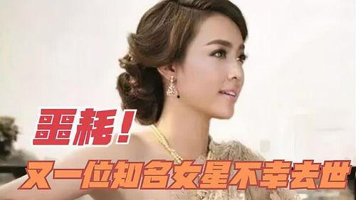 那些不幸去世的明星网红,那些陨落的天才网红与明星的永恒记忆