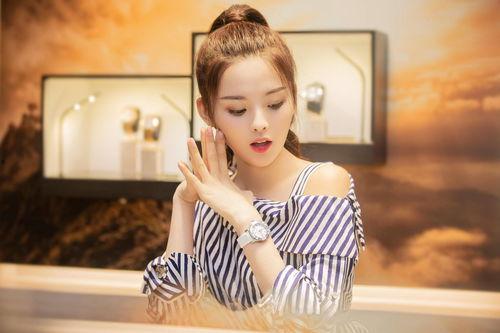 明星网红同款煮料,明星私藏美味秘诀大公开