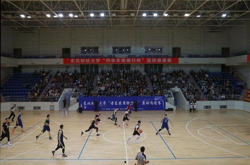 明星网红男球员有哪些,盘点当红明星网红男球员风采