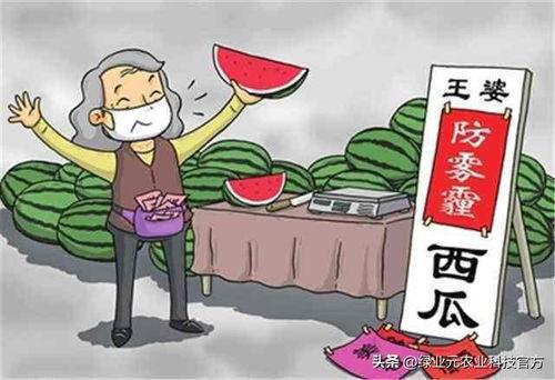 王婆今日不卖瓜下一句,另有玄机待揭晓