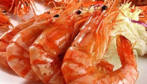 厄尔多瓜虾今日价格,今日市场行情解析”