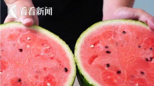 今日白瓜多少钱一斤