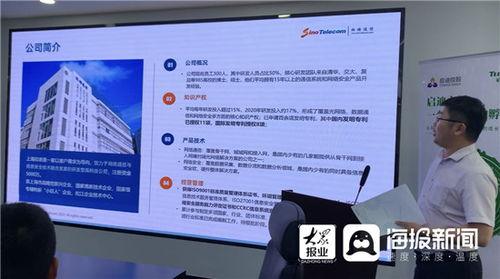 明星网红助力团队名称,共创团队辉煌时刻