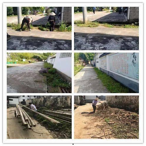 明星网红贵州村6号,网红明星的乡村田园生活新体验