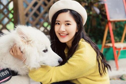 胖猫事件发生明星网红,明星网红引发的网络热议与反思