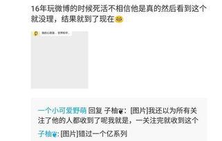 如何让明星网红回复私信,明星网红高效回复私信的秘诀解析