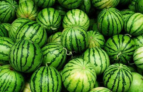 邢台今日必吃的瓜