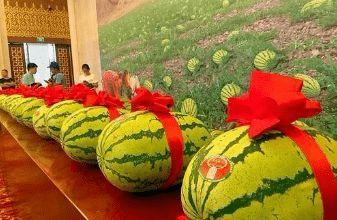 邢台今日必吃的瓜