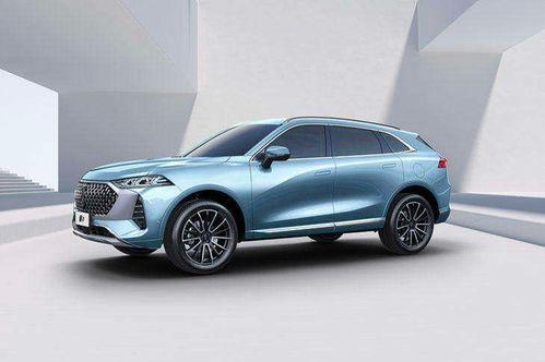 孝感首衡今日哈密瓜价格,新鲜上市，品质保证！”