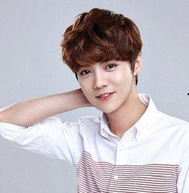 鹅蛋脸男明星网红,网红界的颜值担当”