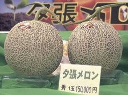 金香玉蜜瓜今日价格行情,价格波动解析与市场趋势洞察