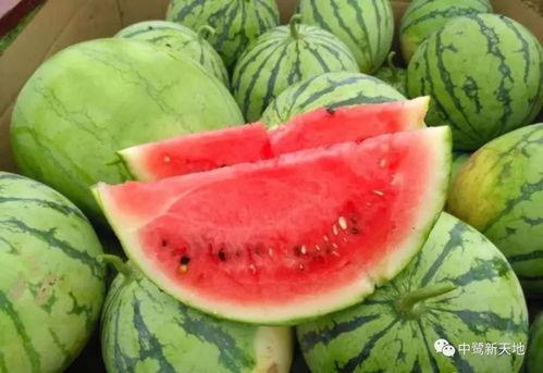 今日网红吃瓜猛料图片