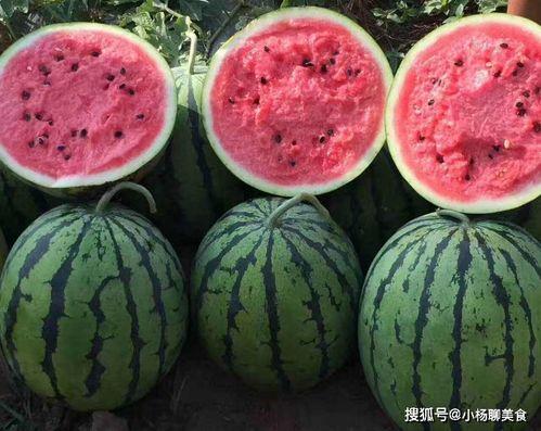 5今日吃瓜 黑脸不打烊,黑脸不打烊背后的故事