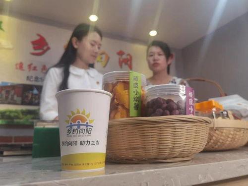 明星网红活动直播小强哥,明星网红活动精彩瞬间回顾