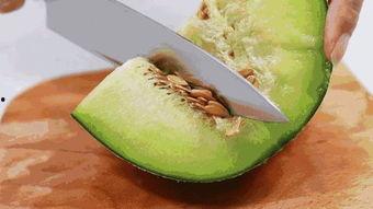 今日午餐蜜瓜好吃吗,甜蜜滋味，回味无穷