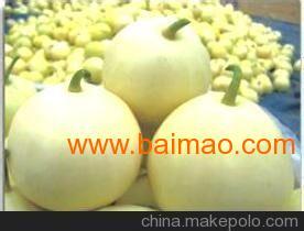 陕西小吊瓜今日价格行情