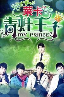 青蛙王子电视剧,穿越时空的奇幻冒险