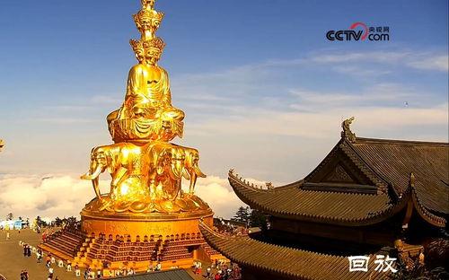 明星网红爬峨眉山