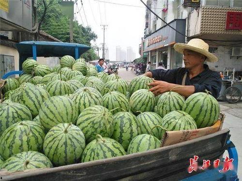 今日份瓜开了,揭秘娱乐圈最新热点事件