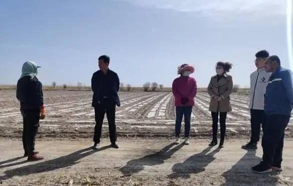 今日瓜州布隆吉新闻,聚焦布隆吉发展动态，共话乡村振兴新篇章