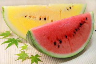 今日大瓜51吃瓜