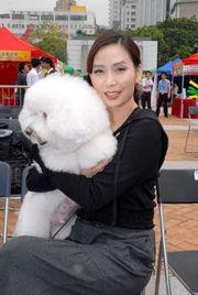 明星网红宠物是谁啊,揭秘明星网红宠物的神秘身份