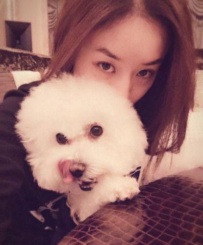 明星网红宠物是谁啊,揭秘明星网红宠物的神秘身份