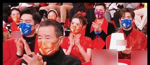 明星网红春晚空翻三虎