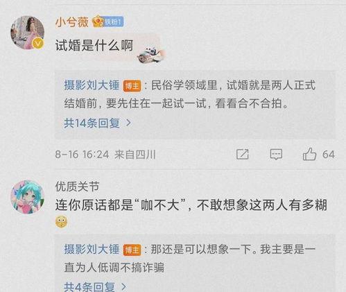 娱乐大瓜今日头条,揭秘娱乐圈最新大瓜，明星幕后故事大曝光！