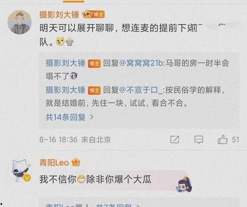 娱乐大瓜今日头条,揭秘娱乐圈最新大瓜，明星幕后故事大曝光！