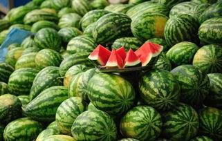 云南楚雄元谋今日瓜价,瓜香四溢，价格波动一览