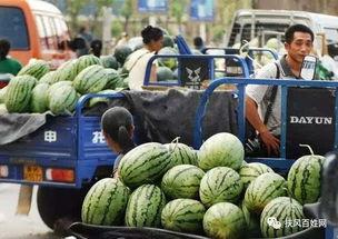 瓜今日市场价西安,新鲜瓜果价格一览