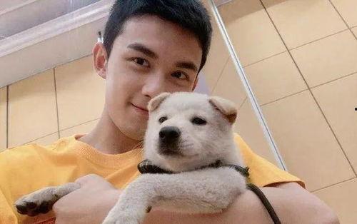 流浪明星网红狗是谁,从街头流浪者到网络红星的逆袭之旅