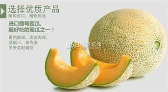 缅甸蜜瓜今日价格