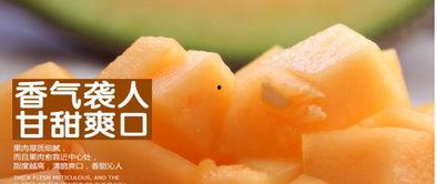 缅甸蜜瓜今日价格