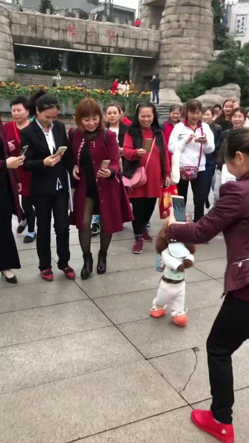 小明星网红童装店,网红童装店——小明星的时尚育儿日记