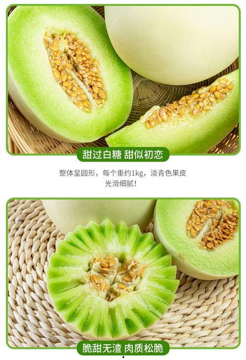 玉菇蜜瓜今日价格走势,今日走势解析