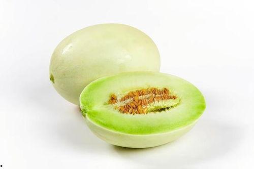 玉菇蜜瓜今日价格走势,今日走势解析