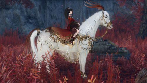 逆水寒今日新瓜