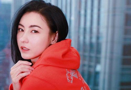 张柏芝明星网红是谁图片