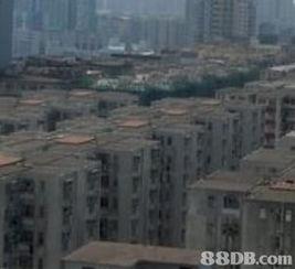 今日香港土瓜湾新闻,社区发展新篇章