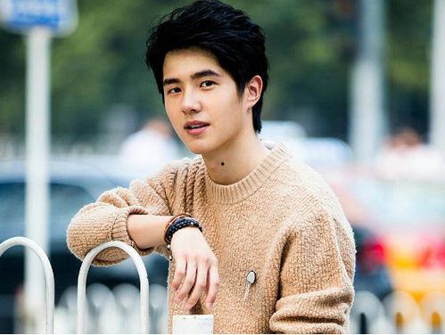 榆林明星网红有哪些名字,璀璨星光下的网络红人风采