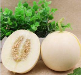 云南建水小瓜今日价格,价格行情一览”